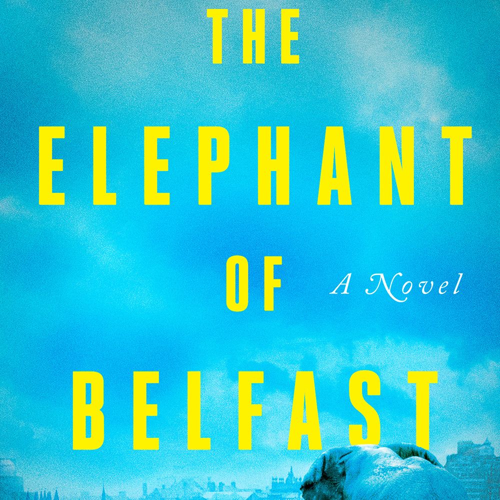The Elephant of Belfast By S. Kirk Walsh